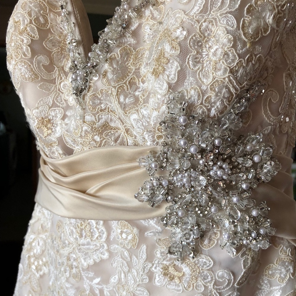 Mori Lee Wedding dress